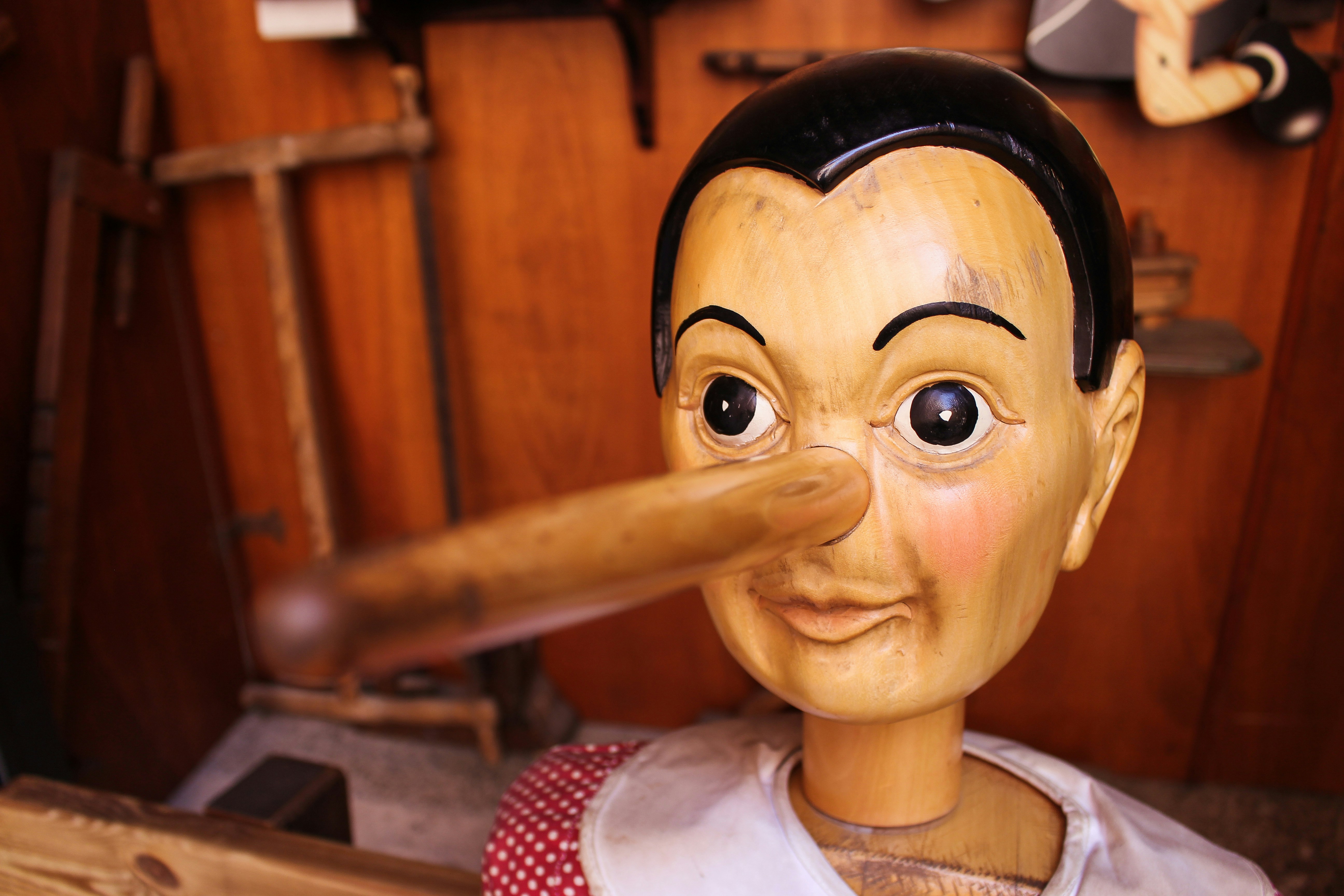 The Biggest Lie About Professional Websites